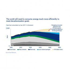 O mundo precisará consumir energia de forma muito mais eficiente para atingir as metas de descarbonização.