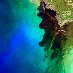 Imagem da foz do Rio Suwannee, que nasce no sudeste dos Estados Unidos e desemboca no Golfo do México. A cor escura do rio contrasta com o azul intenso do mar, criando uma imagem deslumbrante. Créditos: Image by Dr. Alice Alonso, using Landsat satellite data from the U.S. Geological Survey.