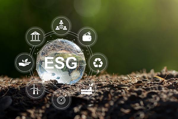 Agenda ESG: Qual o seu papel e o da sua empresa?