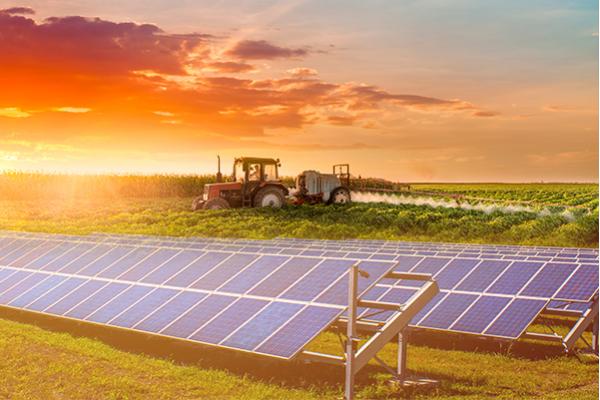 Energia Solar para o Agronegócio: Sustentabilidade Alimentar e Hídrica